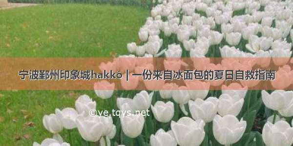 宁波鄞州印象城hakkō | 一份来自冰面包的夏日自救指南