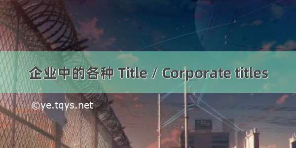 企业中的各种 Title / Corporate titles