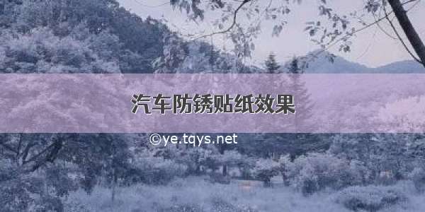 汽车防锈贴纸效果