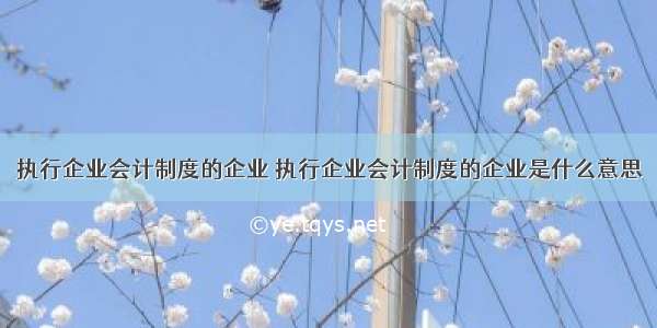 执行企业会计制度的企业 执行企业会计制度的企业是什么意思