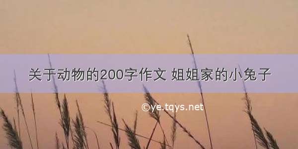 关于动物的200字作文 姐姐家的小兔子