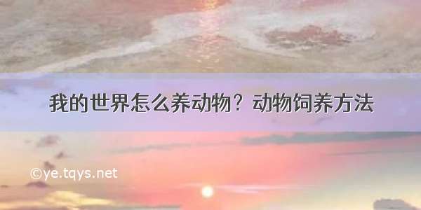 我的世界怎么养动物？动物饲养方法