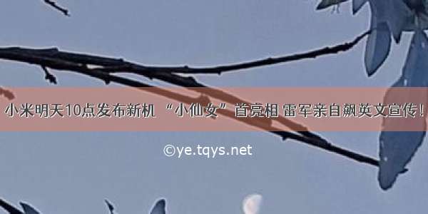 小米明天10点发布新机 “小仙女”首亮相 雷军亲自飙英文宣传！