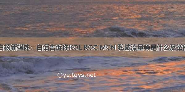 白杨新媒体：白话告诉你KOL KOC MCN 私域流量等是什么及举例