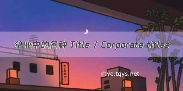 企业中的各种 Title / Corporate titles