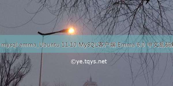 ubuntu mysql emma_Ubuntu 11.10 MySQL客户端 Emma 6.0 中文乱码解决办法