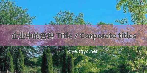 企业中的各种 Title / Corporate titles