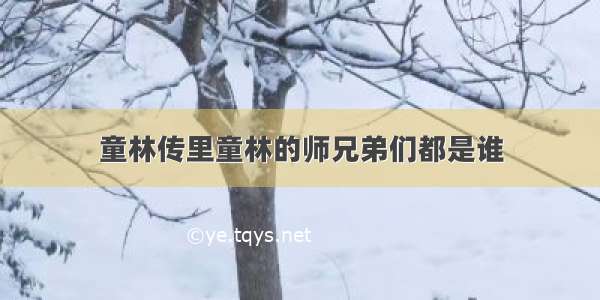 童林传里童林的师兄弟们都是谁