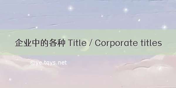 企业中的各种 Title / Corporate titles