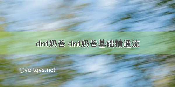 dnf奶爸 dnf奶爸基础精通流