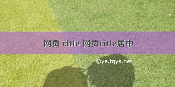 网页 title 网页title居中