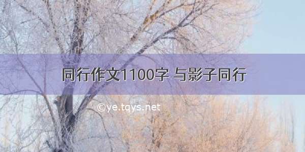 同行作文1100字 与影子同行