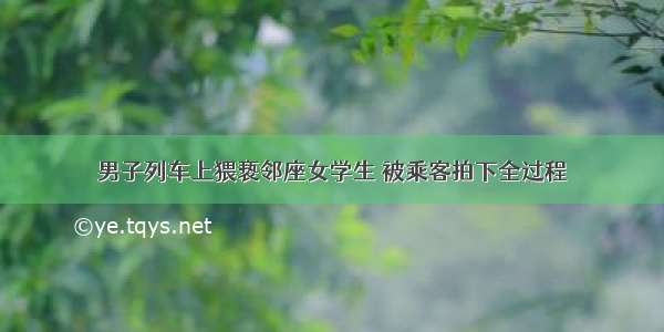 男子列车上猥亵邻座女学生 被乘客拍下全过程