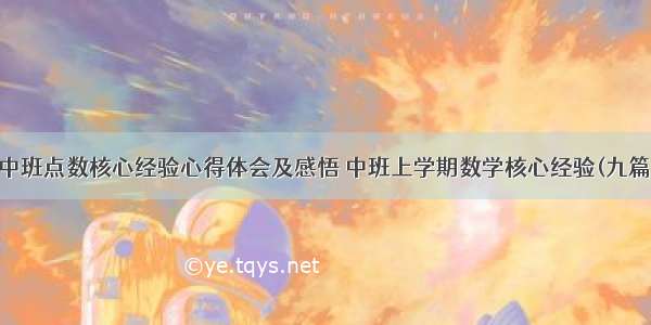 中班点数核心经验心得体会及感悟 中班上学期数学核心经验(九篇)