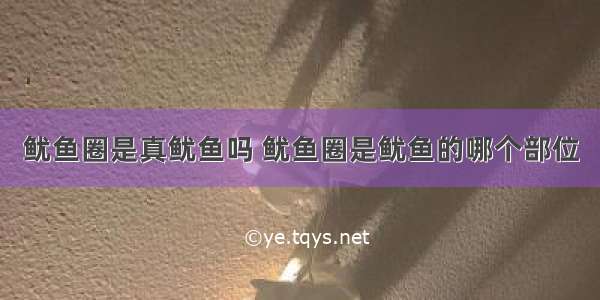 鱿鱼圈是真鱿鱼吗 鱿鱼圈是鱿鱼的哪个部位