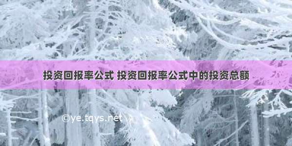 投资回报率公式 投资回报率公式中的投资总额