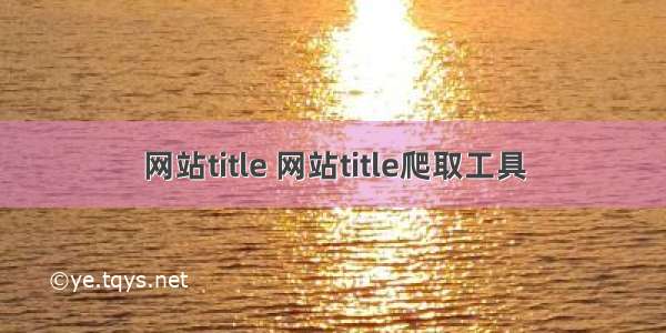 网站title 网站title爬取工具