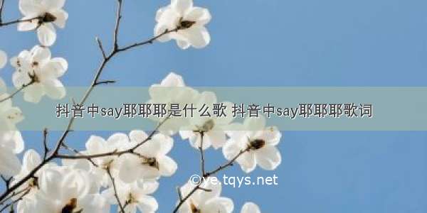 抖音中say耶耶耶是什么歌 抖音中say耶耶耶歌词