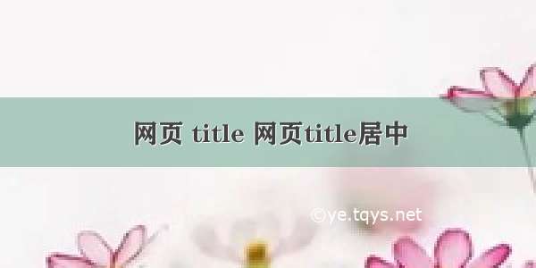 网页 title 网页title居中