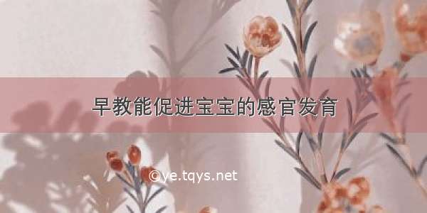 早教能促进宝宝的感官发育