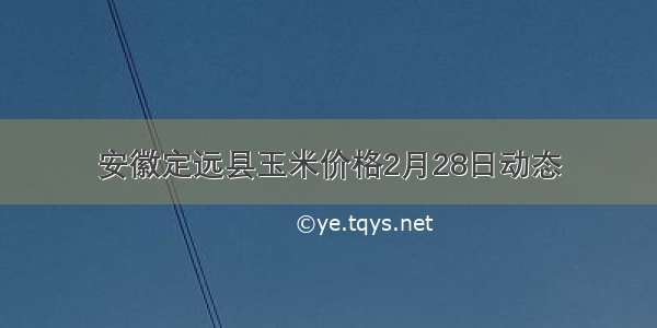 安徽定远县玉米价格2月28日动态