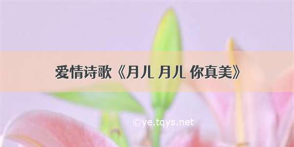 爱情诗歌《月儿 月儿 你真美》