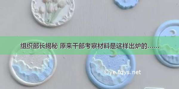 组织部长揭秘 原来干部考察材料是这样出炉的……