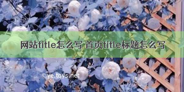 网站title怎么写 首页title标题怎么写