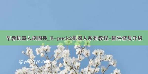 早教机器人刷固件_E-puck2机器人系列教程-固件修复升级