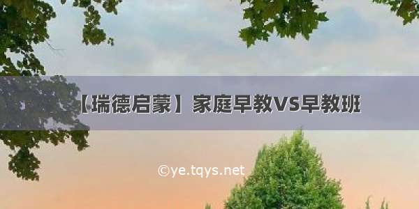 【瑞德启蒙】家庭早教VS早教班