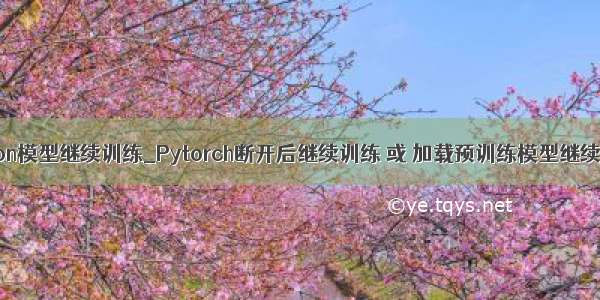 python模型继续训练_Pytorch断开后继续训练 或 加载预训练模型继续训练