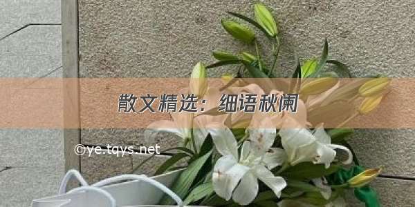 散文精选：细语秋阑