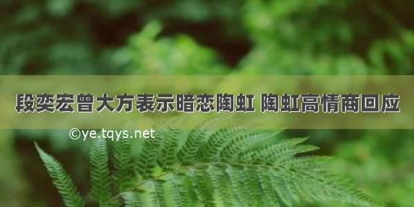 段奕宏曾大方表示暗恋陶虹 陶虹高情商回应