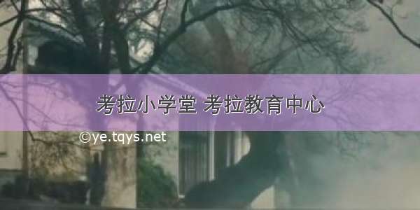 考拉小学堂 考拉教育中心