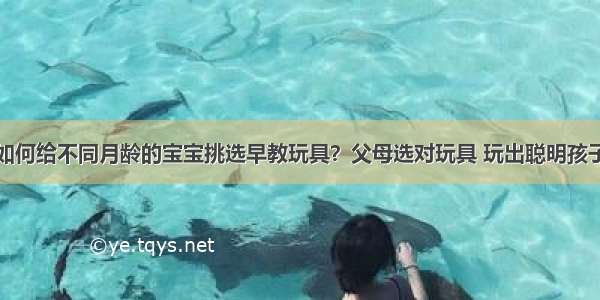 如何给不同月龄的宝宝挑选早教玩具？父母选对玩具 玩出聪明孩子