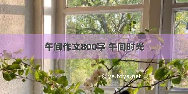 午间作文800字 午间时光