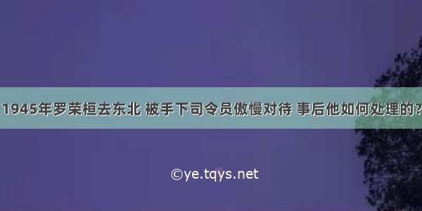 1945年罗荣桓去东北 被手下司令员傲慢对待 事后他如何处理的？