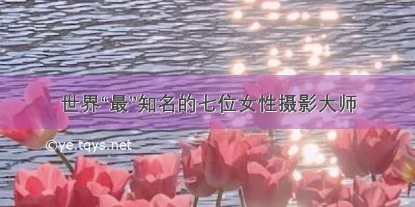 世界“最”知名的七位女性摄影大师