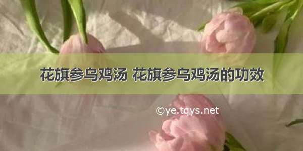 花旗参乌鸡汤 花旗参乌鸡汤的功效