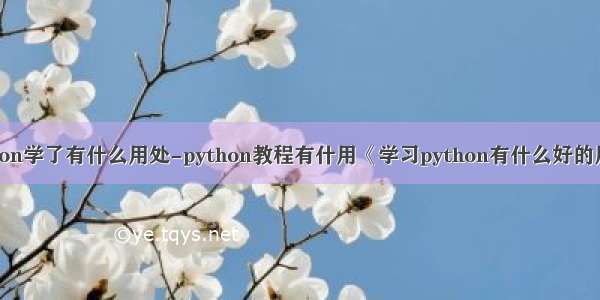 python学了有什么用处-python教程有什用《学习python有什么好的用处》