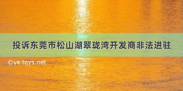 投诉东莞市松山湖翠珑湾开发商非法进驻