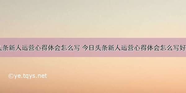 今日头条新人运营心得体会怎么写 今日头条新人运营心得体会怎么写好(五篇)