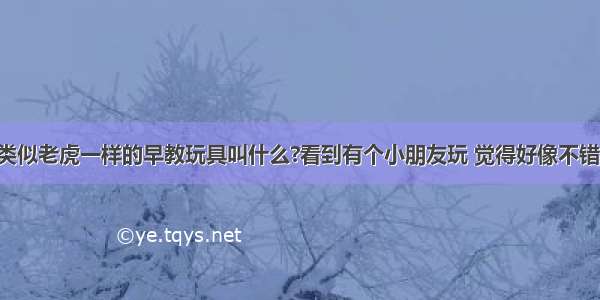 有一个类似老虎一样的早教玩具叫什么?看到有个小朋友玩 觉得好像不错 可对话