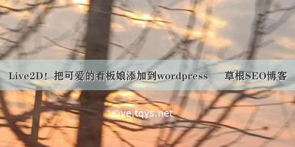 Live2D！把可爱的看板娘添加到wordpress – 草根SEO博客