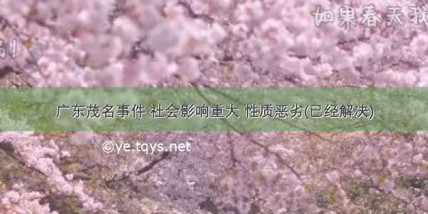 广东茂名事件 社会影响重大 性质恶劣(已经解决)