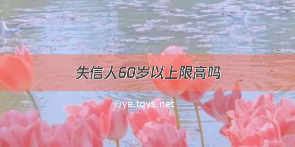 失信人60岁以上限高吗