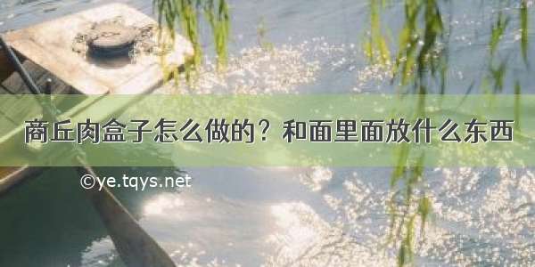 商丘肉盒子怎么做的？和面里面放什么东西