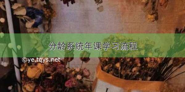 分龄系统年课学习流程