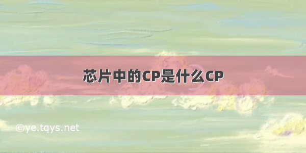 芯片中的CP是什么CP