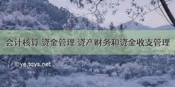 会计核算 资金管理 资产财务和资金收支管理